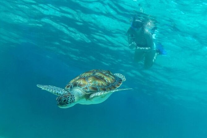 Half Day Luxury Sailing Experience in Riviera Maya with Open Bar - Weather, seasickness, and the importance of timing