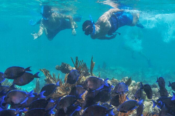 Half-Day Luxury Sailing Experience in Tulum with Open Bar - Group size, comfort, and the luxury label