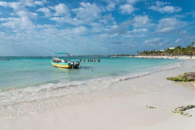 Half-Day Sea Turtle and Cenote Snorkeling Tour from Cancun & Riviera Maya