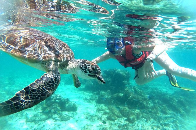 Half-Day Sea Turtle and Cenote Snorkeling Tour from Cancun & Riviera Maya - Group size, photography, and the real cost