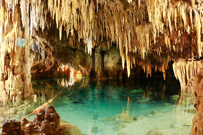 Half-Day Sea Turtle and Cenote Snorkeling Tour from Cancun & Riviera Maya - Who will enjoy this tour most