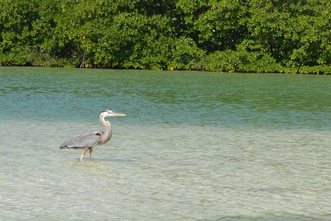 Half-Day Tour Discovering Sian Ka´an with Lunch - Beach, Coconut Groves, and a Slow Hour