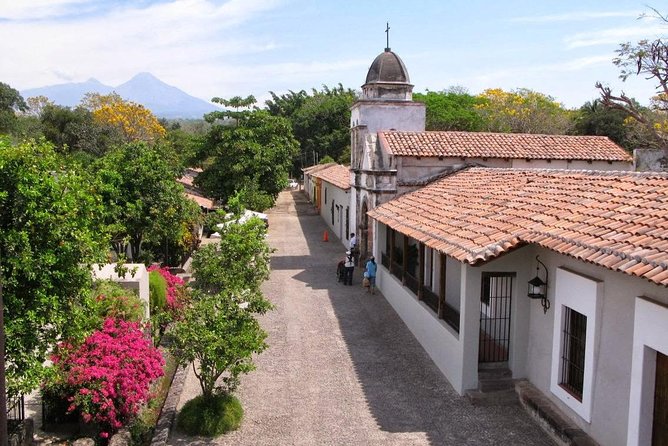 Half-Day Tour to Tequila Factory and Villages from Mazatlan - Leaving Mazatlan for the blue agave country