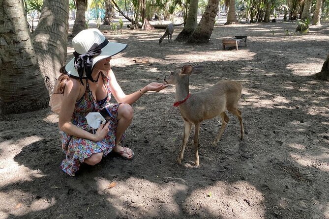 Half-Day Tour to Ventanilla, Mazunte, Zipolite and Puerto Angel - Key points at a glance