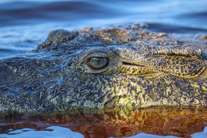 Half-Day Tour to Ventanilla, Mazunte, Zipolite and Puerto Angel - A long coastal day from Huatulco