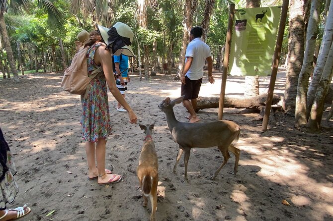 Half-Day Tour to Ventanilla, Mazunte, Zipolite and Puerto Angel - The return to Huatulco may be late