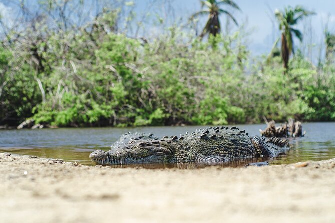 Half-Day Tour to Ventanilla, Mazunte, Zipolite and Puerto Angel - La Ventanilla and the crocodile sanctuary