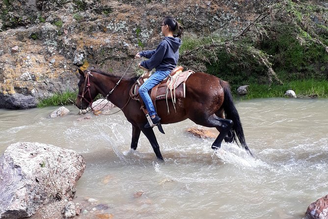 Half Day Trail Riding in San Miguel de Allende - The vaqueros make the difference