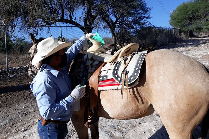 Half Day Trail Riding in San Miguel de Allende - River crossings, canyon trails, and high views