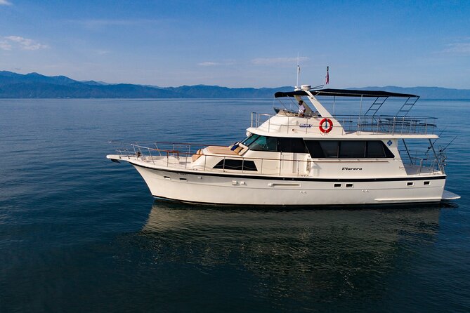 Hatteras 58-61' Luxury Yacht in Puerto Vallarta & Nuevo Nayarit - Whale watching and wildlife on the route