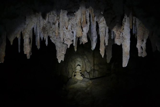 Hidden Cenote exploration in Playa del Carmen - The value of a private tour