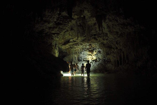 Hidden Cenote exploration in Playa del Carmen - Timing, pickup, and the Playa del Carmen meeting point