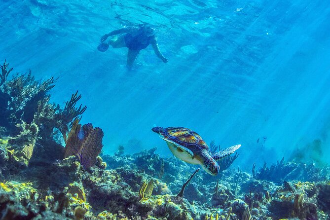 Hidden Cenote Swim: Snorkeling, Sea Turtles and Beachside Lunch - The real timetable: 4.5 hours on paper, much longer in practice
