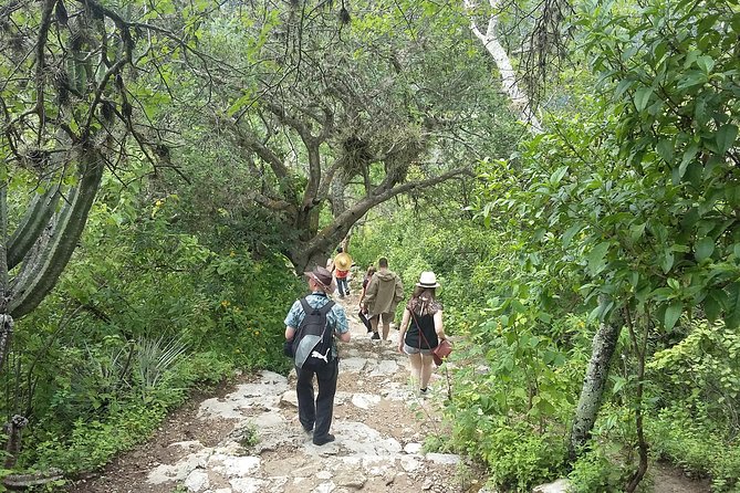 Hierve el Agua Early Tour with Pickup + smoke-kitchen - What kind of tour guide should you expect?