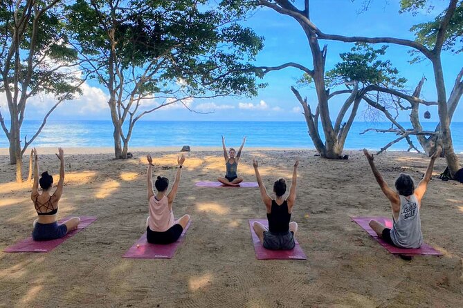 Hike and Yoga Jungle Experience in Mexico - Key points to know before booking