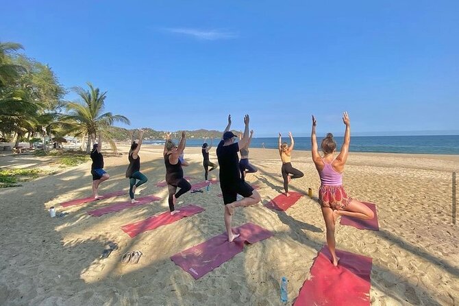 Hike and Yoga Jungle Experience in Mexico - Why this makes a good Sayulita morning