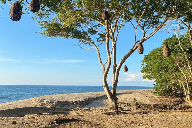 Hike and Yoga Jungle Experience in Mexico - Who should book it, and who should think twice?