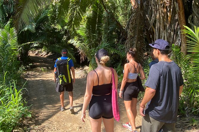 Hike and Yoga Jungle Experience in Mexico - Starting at Chaman Mexican Creative Kitchen