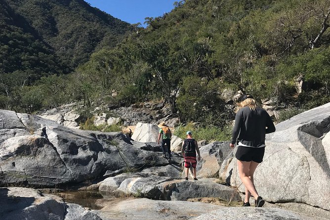 Hike the native Pericu road in Sierra de la Laguna. - Key points at a glance