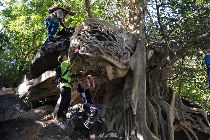 Hike the native Pericu road in Sierra de la Laguna. - A ranch meal that gives the day its human center