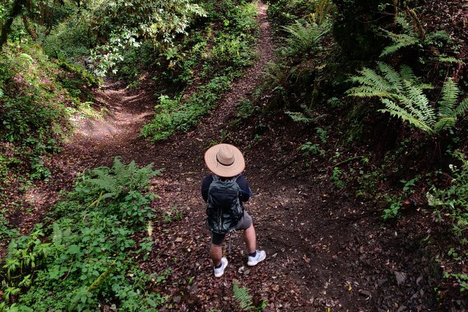 Hiking in the Sierra Norte of Oaxaca - Key points to know before you book