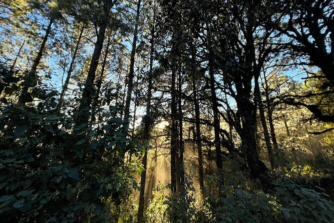 Hiking in the Sierra Norte of Oaxaca - Leaving Oaxaca City for the communal villages