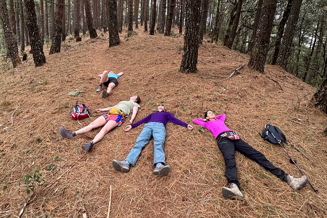 Hiking in the Sierra Norte of Oaxaca - Views come with real elevation gain