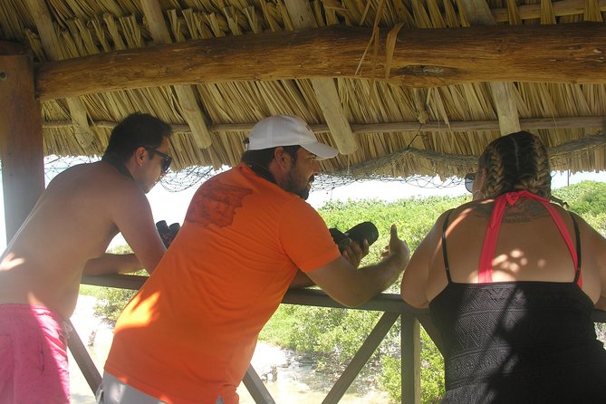 Holbox 3 Island Private Boat Tour - Best timing, weather, and wildlife expectations