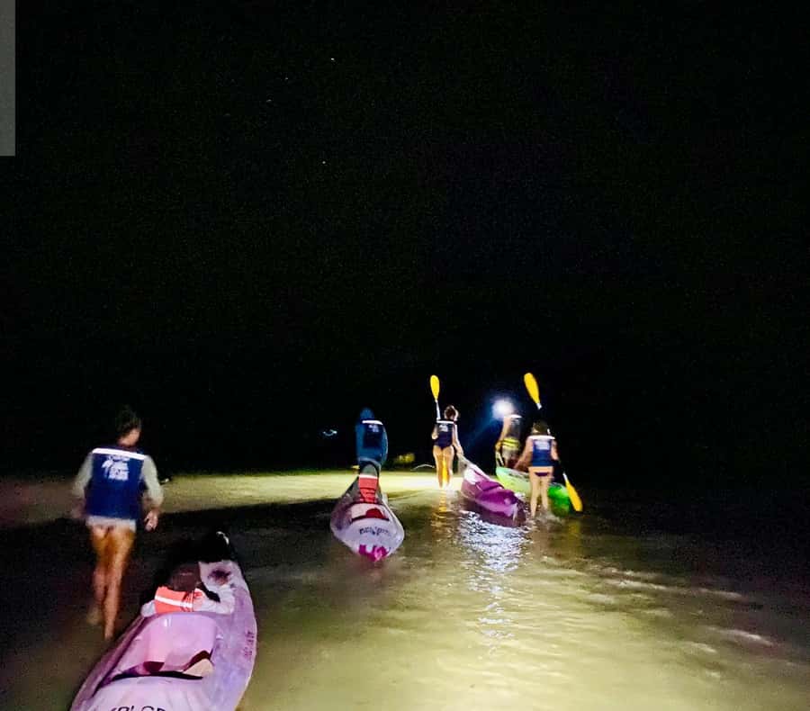 Holbox: Bioluminescence by Kayak and Stargazing. - Paddling 15 to 20 minutes toward the sandbanks