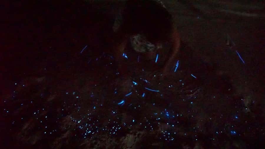 Holbox: Bioluminescence by Kayak and Stargazing. - Stargazing when the sky cooperates