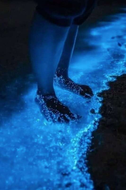 Holbox: Guided Bioluminescence Kayaking Tour - Meeting on the beach and leaving Holbox lights