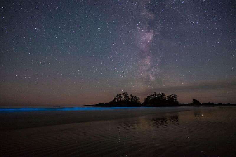 Holbox: Guided Bioluminescence Kayaking Tour - Stargazing over the open water