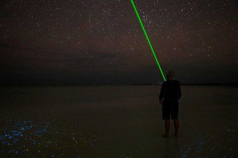 Holbox: Guided Bioluminescence Kayaking Tour - What the $49 price includes
