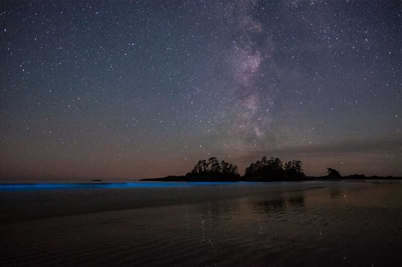 Holbox: Guided Bioluminescence Kayaking Tour - Who will enjoy this Holbox kayak tour