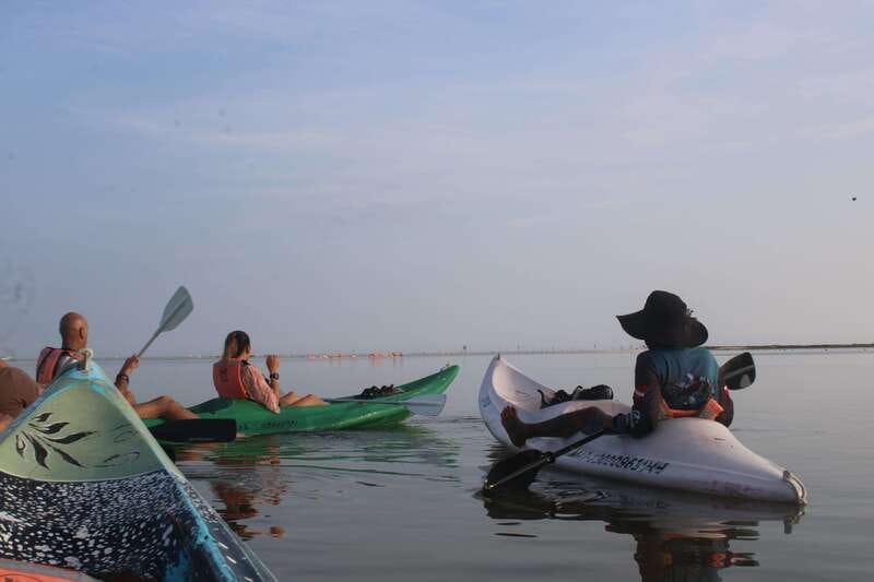 Holbox: Guided Sunrise/Sunset Kayak Tour by Mangrove Reserve - Golf-cart pickup keeps the early start easy