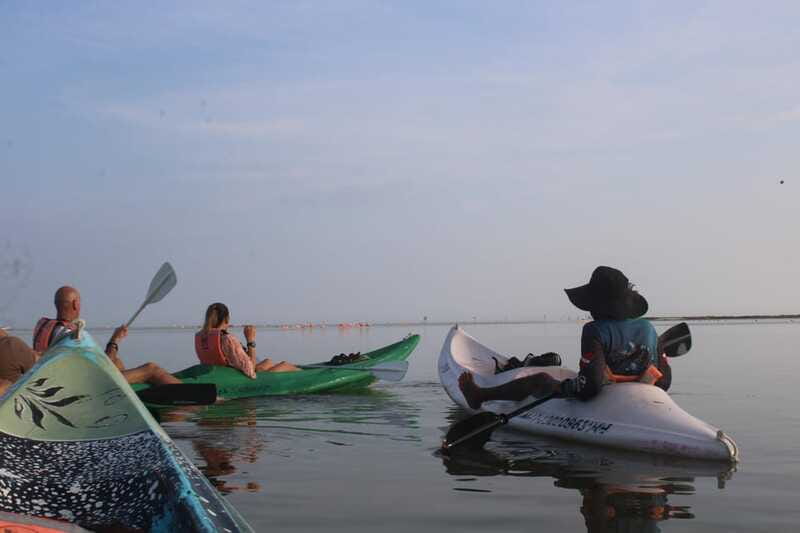 Holbox: Guided Sunrise/Sunset Kayak Tour by Mangrove Reserve - Sunrise is worth the early alarm