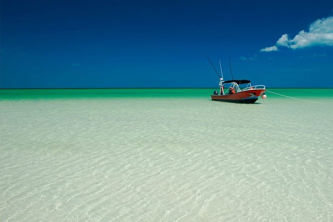 Holbox Island Full Day Trip with Lunch From Playa del Carmen - Isla Pasión and the shallow-water stops