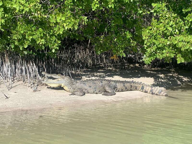 Holbox: Mangrove Sunset Kayak Tour - Who Will Enjoy This Outing Most
