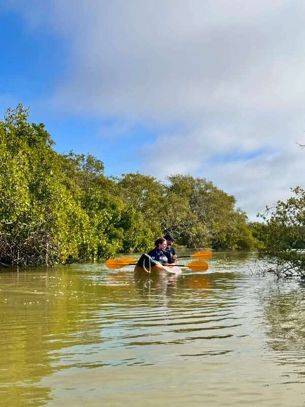 Holbox: Mangrove Sunset Kayak Tour - What $55 Includes