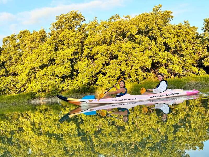 Holbox: Sunrise & Mangrove Kayak Tour - Key points to know before booking