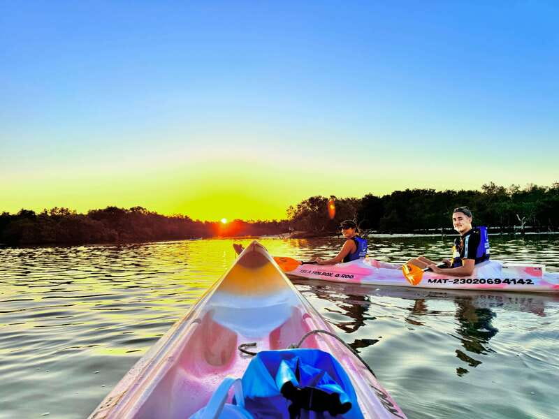 Holbox: Sunrise & Mangrove Kayak Tour - From your hotel to Punta Mosquito