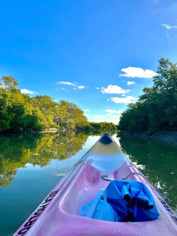 Holbox: Sunrise & Mangrove Kayak Tour - What the $49 price really covers