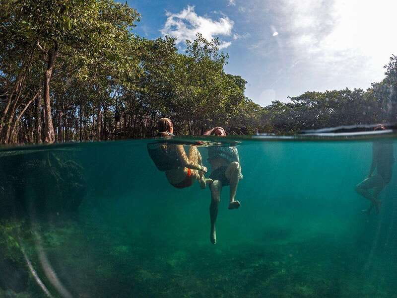 Holbox: Yum Balam Reserve Classic Boat Tour - A three-hour outing through Yum Balam Reserve