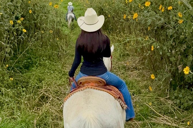 Horseback, Culture & Mexican Flavors Experience - Key points to know before you book