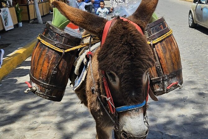 Horseback, Culture & Mexican Flavors Experience - Traditional snacks before the ride