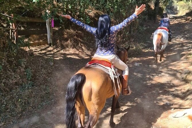 Horseback, Culture & Mexican Flavors Experience - A lesson in horses beyond the saddle