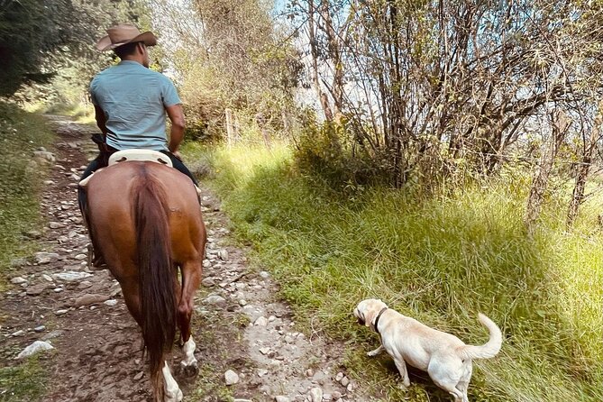 Horseback, Culture & Mexican Flavors Experience - How much value does $239 provide?