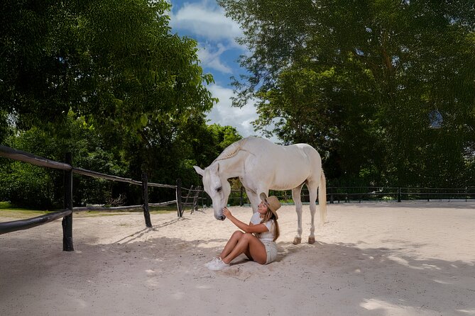 Horseback Riding and Cenote Swim from Cancun or Playa del Carmen - A jungle ride with a purpose