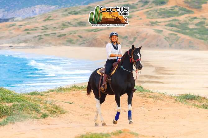 Horseback Riding Beach and Desert in Cabo - Is the beach setting worth the drawbacks?