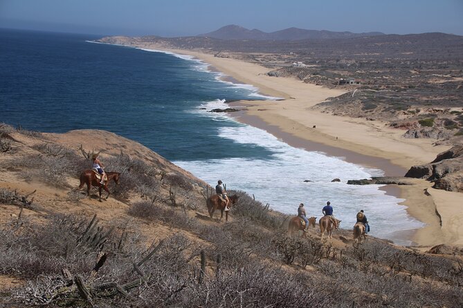 Horseback Riding Experience in Rancho San Cristobal - From Cabo San Lucas to Rancho San Cristobal